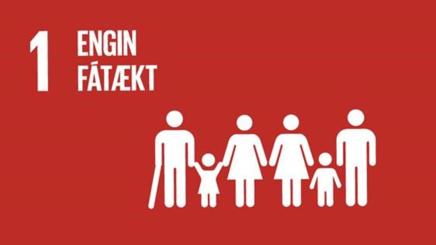 1.2 Engin fátækt