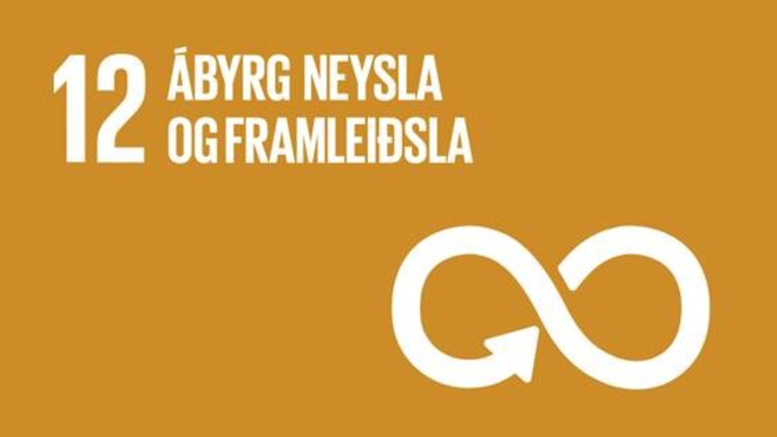 12.7 Ábyrg neysla og framleiðsla
