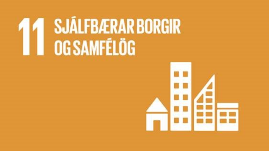 11.3 Sjálfbærar borgir og samfélög