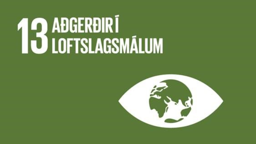 13.1 Aðgerðir í loftlagsmálum