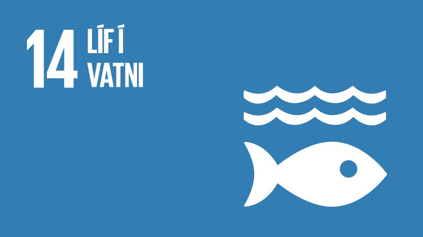 14.2 Líf í vatni