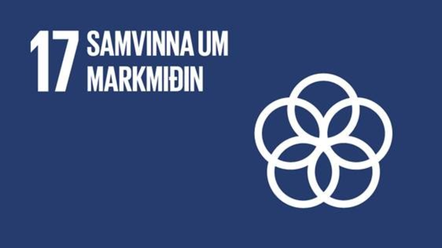 Samvinna um markmiðin