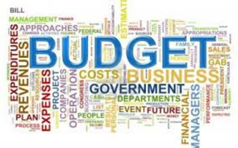 Improve Fiscal Transparency by introducing a Citizens Budget