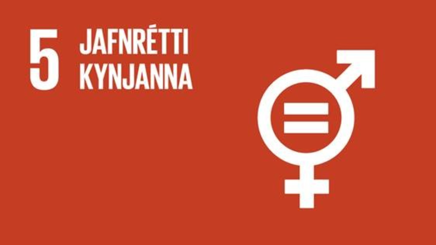 Jafnrétti kynjanna