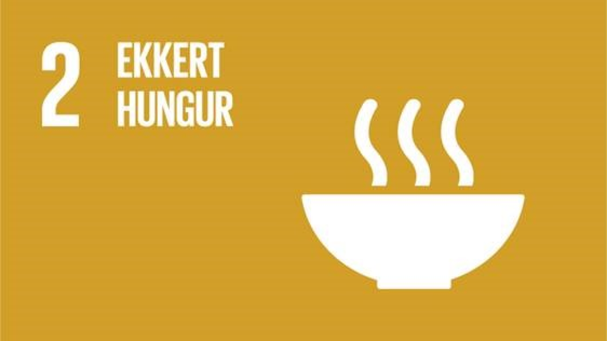 Ekkert hungur