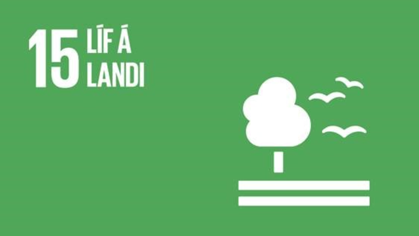 15.9 Líf á landi